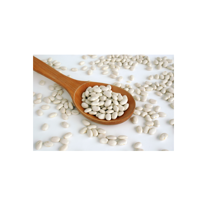 HARICOT LINGOT BLANC - Unité 1KG
