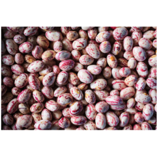 HARICOT COCO ROSE - Unité 1KG