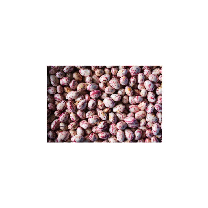 HARICOT COCO ROSE - Unité 1KG