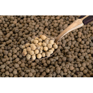 POIVRE BLANC EN GRAIN