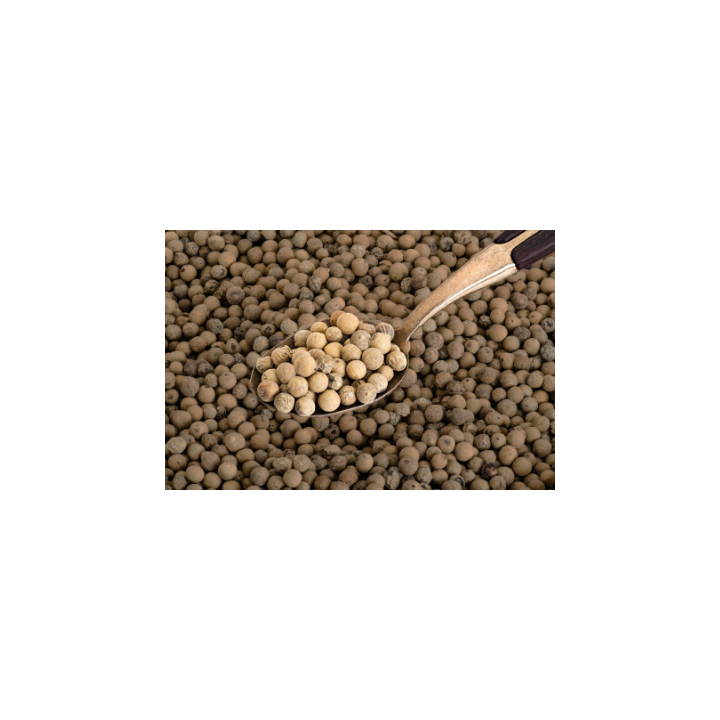 POIVRE BLANC EN GRAIN