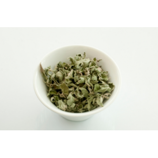 MENTHE SECHE