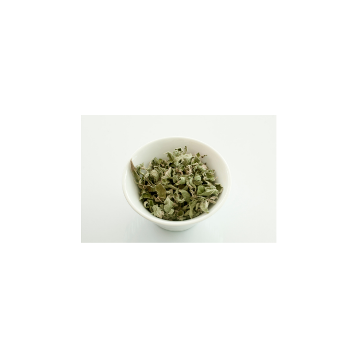 MENTHE SECHE