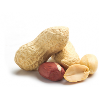 ARACHIDES COQUES -500G -