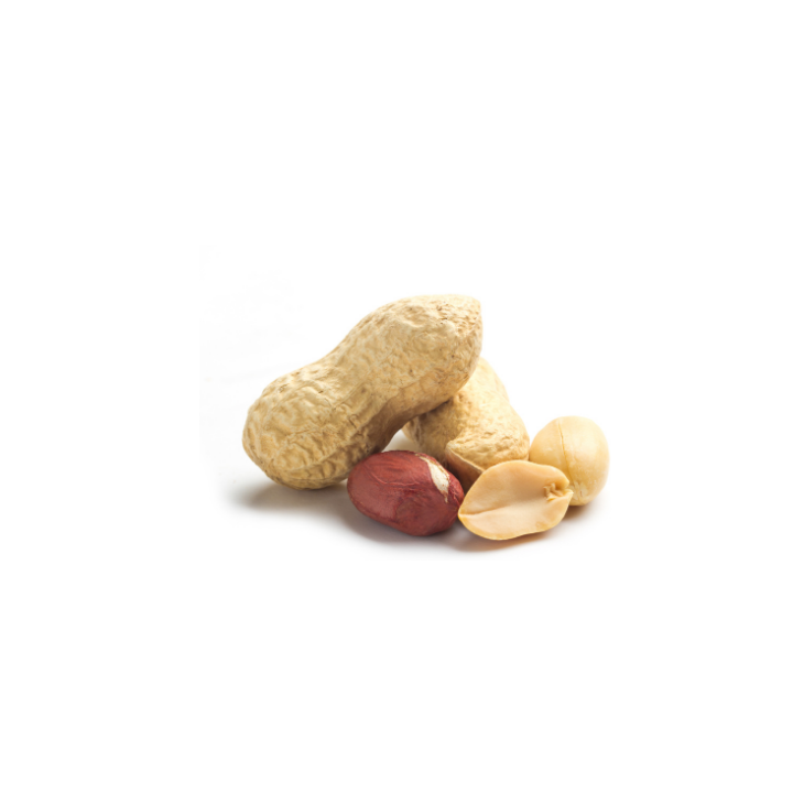 ARACHIDES COQUES -500G -