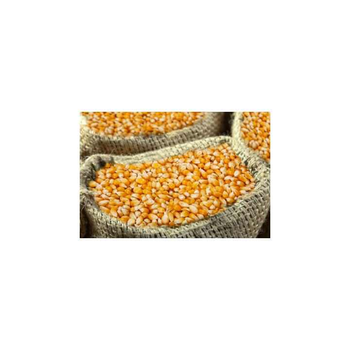 MAIS POP CORN  - 500G -