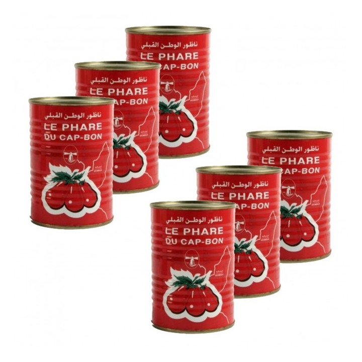 CONCENTRE DE TOMATE PHARE DU CAP BON 1/6